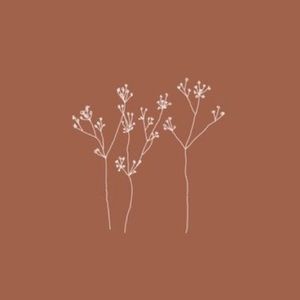 Meet your Posher, Alethia